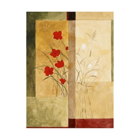 Pablo Esteban 'Red And White Flowers Squared' Canvas Art,35x47